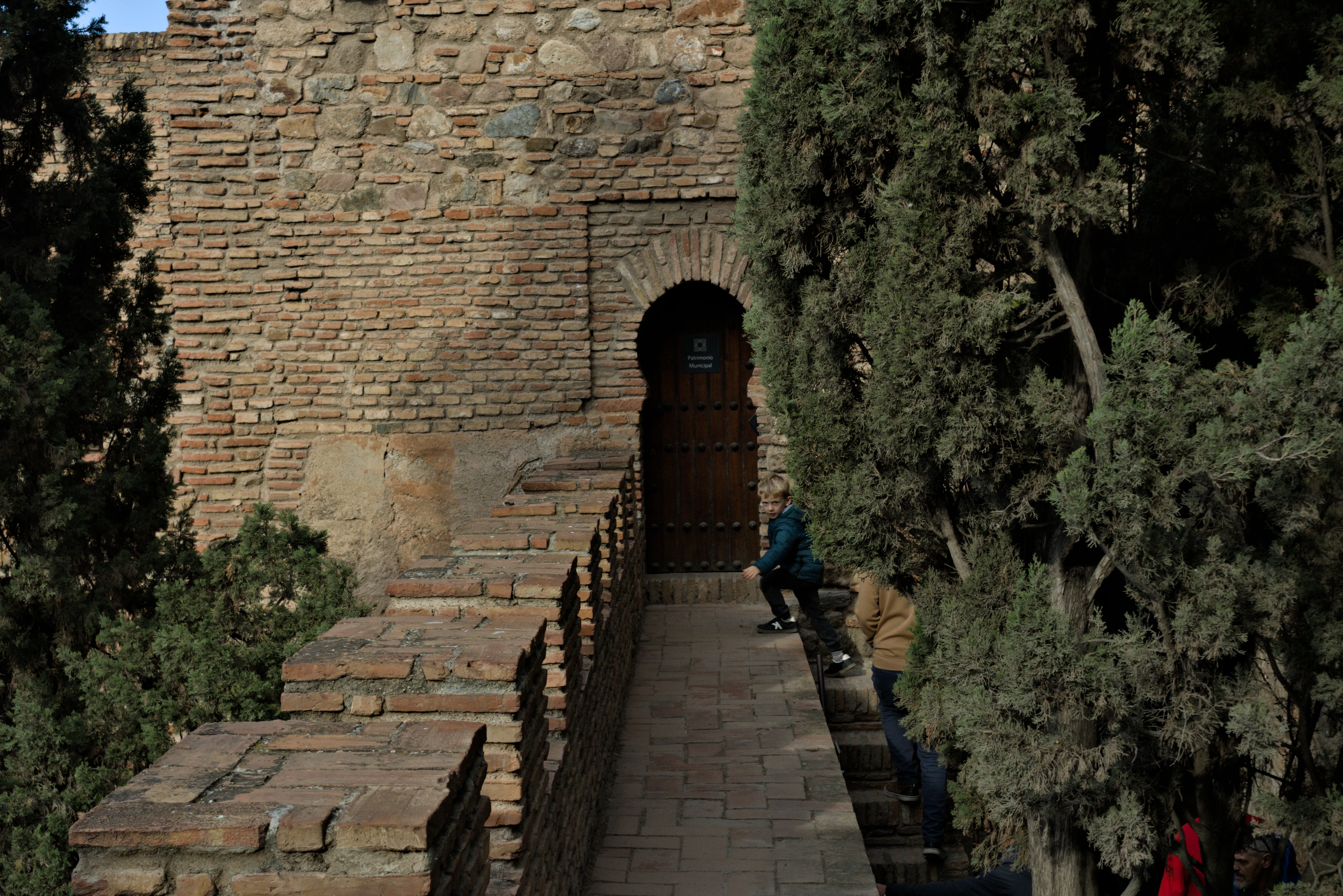 Meyer-Optik Görlitz Primagon 35mm f4.5 (M42) - _I4A7246.webp